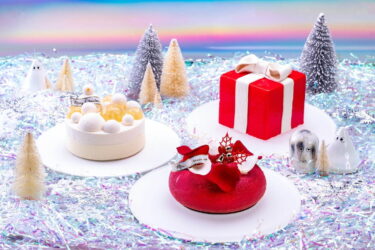【大阪×クリスマスケーキ】2021年厳選　人気　華やかクリスマスケーキ情報！